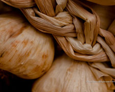 Immagine 1 di AGLIO DI CARAGLIO DI MONTAGNA FATTORIA DELL'AGLIO