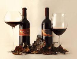 Immagine 2 di PROVINCIA DI MANTOVA  ROSSO I.G.T. VIGNA MAGRINI CANTINA GOZZI