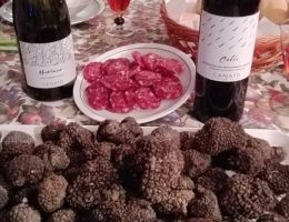 Immagine 3 di MONFERRATO GRIGNOLINO CASALESE D.O.C. CELIO CANATO VINI