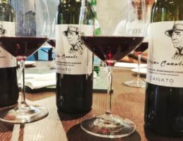 Immagine 5 di MONFERRATO GRIGNOLINO CASALESE D.O.C. CELIO CANATO VINI