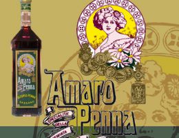 Immagine 1 di AMARO PENNA