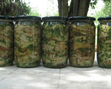 Immagine 1 di PEPERONI & MELANZANE SOTT'OLIO CASCINA AMARANT