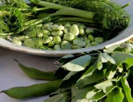 Immagine 1 di FAVETTA DI FRATTE ROSA