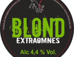 Immagine 1 di BLOND STILE BELGIAN PALE ALE EXTRAOMNES BIRRIFICIO ARTIGIANALE