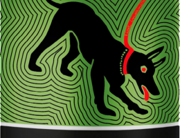 Immagine 2 di BLOND STILE BELGIAN PALE ALE EXTRAOMNES BIRRIFICIO ARTIGIANALE