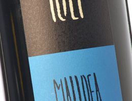 Immagine 1 di MONFERRATO NEBBIOLO D.O.C. MALIDEA CANTINA LULI