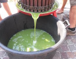 Immagine 2 di OLIO EXTRAVERGINE DI OLIVA BLEND QUALITA' SUPERIORE CANTINA RICCHI