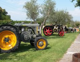 Immagine 3 di OLIO EXTRAVERGINE DI OLIVA BLEND QUALITA' SUPERIORE CANTINA RICCHI