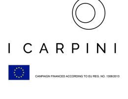 Immagine 2 di TIMORASSO SPUMANTE NATURE METODO METODO CLASSICO  CHIAROR SUL MASSO I CARPINI VIGNE E VINI