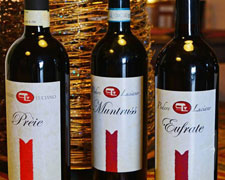 Immagine 1 di MONFERRATO MERLOT D.O.C. PRE'IE PODERE LUCIANO VINI