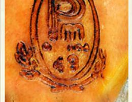 Immagine 3 di PROSCIUTTO CRUDO DI MODENA D.O.P.