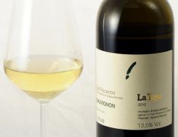 Immagine 1 di COLLI PIACENTINI SAUVIGNON D.O.C.