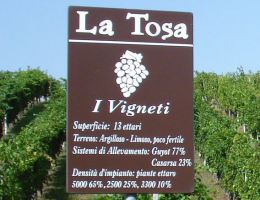 Immagine 3 di COLLI PIACENTINI SAUVIGNON D.O.C.