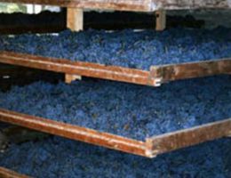 Immagine 3 di VALPOLICELLA CLASSICO SUPERIORE RIPASSO