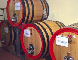 Immagine 4 di COLLI PIACENTINI D.O.C. BONARDA FRIZZANTE