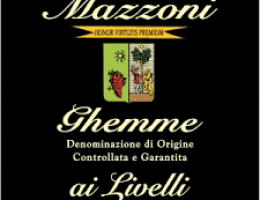 Immagine 1 di GHEMME D.O.C.G. AI LIVELLI MAZZONI VINI