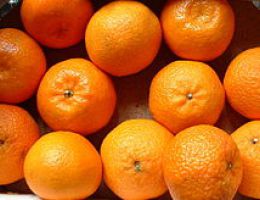 Immagine 2 di MARMELLATA BIO DI CLEMENTINE