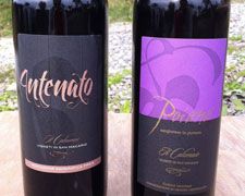 Immagine 1 di ANTENATO VIGNE VECCHIE I.G.T. ROSSO TOSCANA