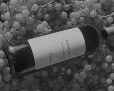 Immagine 1 di COLLI PIACENTINI GUTTURNIO RISERVA D.O.C. RONCO ALTO