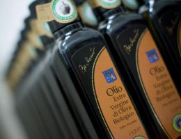 Immagine 2 di OLIO EXTRAVERGINE DI OLIVA D.O.P. BIO CARTOCETO DI CATEGORIA SUPERIORE