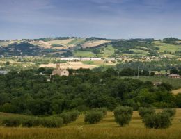 Immagine 3 di OLIO EXTRAVERGINE DI OLIVA D.O.P. BIO CARTOCETO DI CATEGORIA SUPERIORE