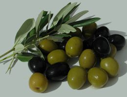 Immagine 4 di OLIO EXTRAVERGINE DI OLIVA D.O.P. BIO CARTOCETO DI CATEGORIA SUPERIORE