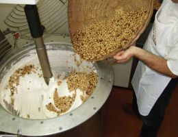 Immagine 3 di TORRONE FRIABILE ALLA NOCCIOLA TONDA GENTILE TRIBOLATA ANTICA CASA FACCIO 1856