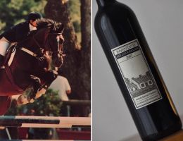 Immagine 1 di ROSSO EMILIA I.G.T. INVENTATO UCCELLAIA VINI