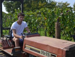 Immagine 4 di ROSSO EMILIA I.G.T. INVENTATO UCCELLAIA VINI