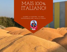 Immagine 1 di FARINA COME UNA VOLTA PER POLENTA TRADIZIONALE BERGAMASCA