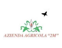 Immagine 2 di ALLEVAMENTO  DI CHIOCCIOLE RAZZA HELIX ASPERSA MAXIMA  BIO AGRI 2M