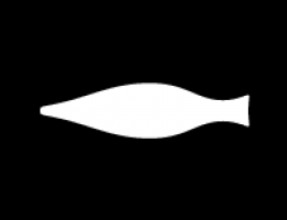 Immagine 2 di BROCCOLO FRIARIELLO NAPOLI SOTT'OLIO