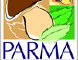 Immagine 2 di FUNGHI PORCINI SOTT'OLIO