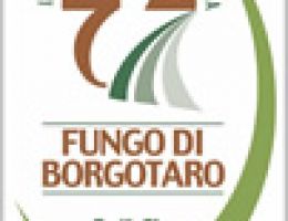 Immagine 3 di FUNGHI PORCINI SOTT'OLIO