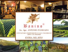 Immagine 2 di BANINO ROSSO SAN COLOMBANO D.O.C. VIGNA LA MERLA