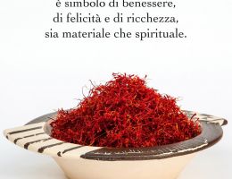 Immagine 1 di ZAFFERANO A MILANO AGRI ZAFFERANAMI