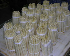 Immagine 1 di Asparago Bianco e Verde I.G.P. di Badoere