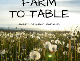 Immagine 2 di CONFETTURA DI MELA  POM FRASCON AGRI LE TRE PERTICHE