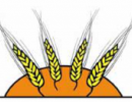 Immagine 2 di OLIO EXTRAVERGINE DI OLIVA BIO D.O.P. MONTE ETNA DI CATEGORIA SUPERIORE LANZAFAME