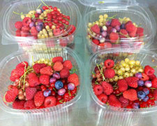 Immagine 2 di PICCOLI FRUTTI AGRI FRUTTI ALTA VAL CAMONICA