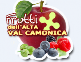 Immagine 1 di PICCOLI FRUTTI AGRI FRUTTI ALTA VAL CAMONICA
