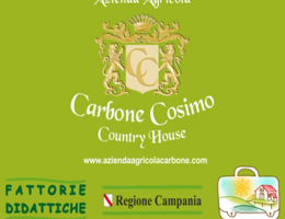 Immagine 2 di OLIO EXTRAVERGINE DI OLIVA BLEND DI QUALITA' SUPERIORE