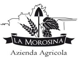 Immagine 2 di LA MOROSINA STILE WEIZEN AGRI BIRRIFICIO LA MOROSINA