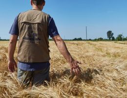 Immagine 1 di LA MOROSINA STILE WEIZEN AGRI BIRRIFICIO LA MOROSINA