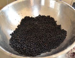 Immagine 3 di CONFETTURE EXTRA DI CESSOLE TENUTA ANTICA