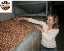 Immagine 1 di Frutti dell'Etna