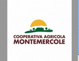 Immagine 2 di PROSCIUTTO CRUDO DA GRIGIO DI MONTEMERCOLE