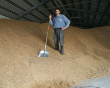 Immagine 1 di Riso Superfino Carnaroli