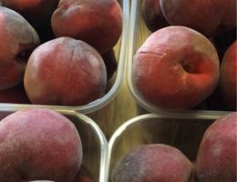 Immagine 1 di PESCHE DEL PROF. CASCINA CAIELLA