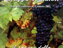 Immagine 1 di MALVASIA DOLCE I.G.T. COLLINE DEL MILANESE